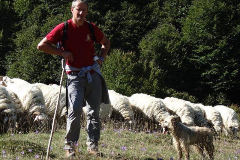 didier arribe producteur